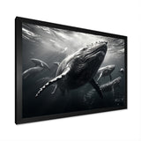 Grey Marine Animals Graceful Giants - Marine Animals Wall Art Prints