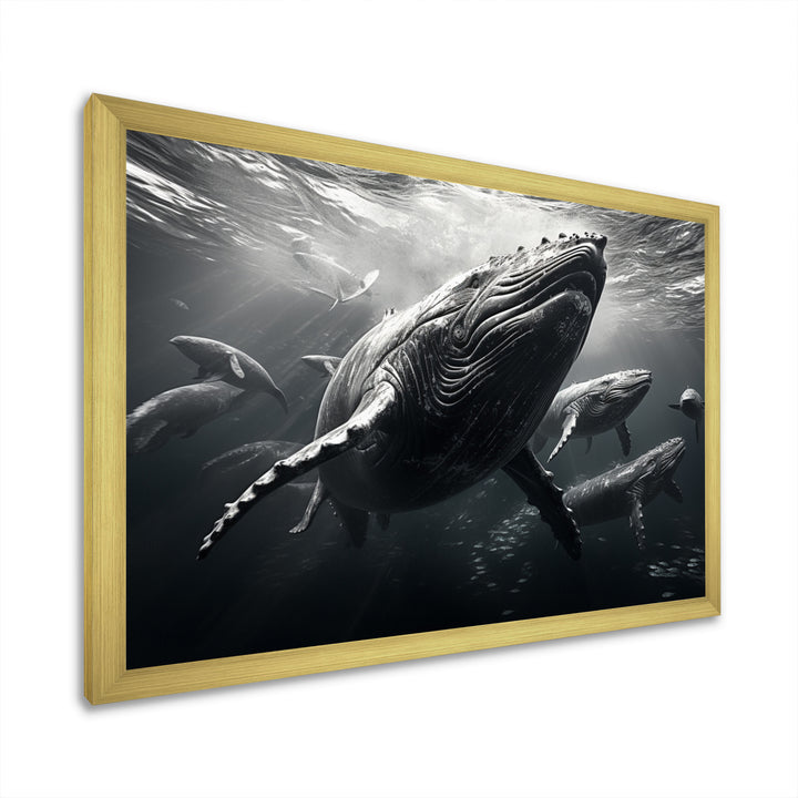 Grey Marine Animals Graceful Giants - Marine Animals Wall Art Prints