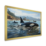 Black White Marine Animals Majestic Orcas - Marine Animals Living Room Wall Art