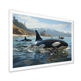 Black White Marine Animals Majestic Orcas - Marine Animals Living Room Wall Art