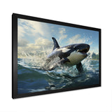 White Black Marine Animals Majestic Orcas - Marine Animals Bedroom Wall Art