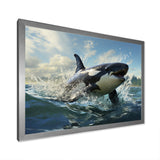 White Black Marine Animals Majestic Orcas - Marine Animals Bedroom Wall Art