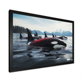 Black Red Marine Animals Majestic Orcas - Marine Animals Canvas Wall Art