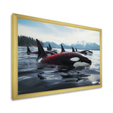 Black Red Marine Animals Majestic Orcas - Marine Animals Canvas Wall Art