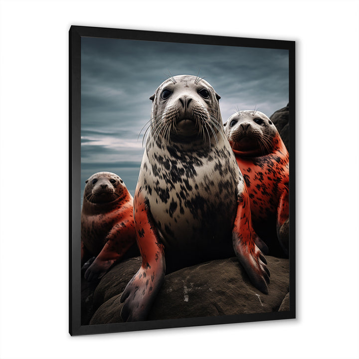 Grey Red Seal Silent Guardians - Marine Animals Large Canvas Wall Art
