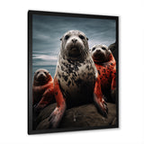 Grey Red Seal Silent Guardians - Marine Animals Large Canvas Wall Art
