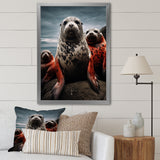 Grey Red Seal Silent Guardians - Marine Animals Large Canvas Wall Art