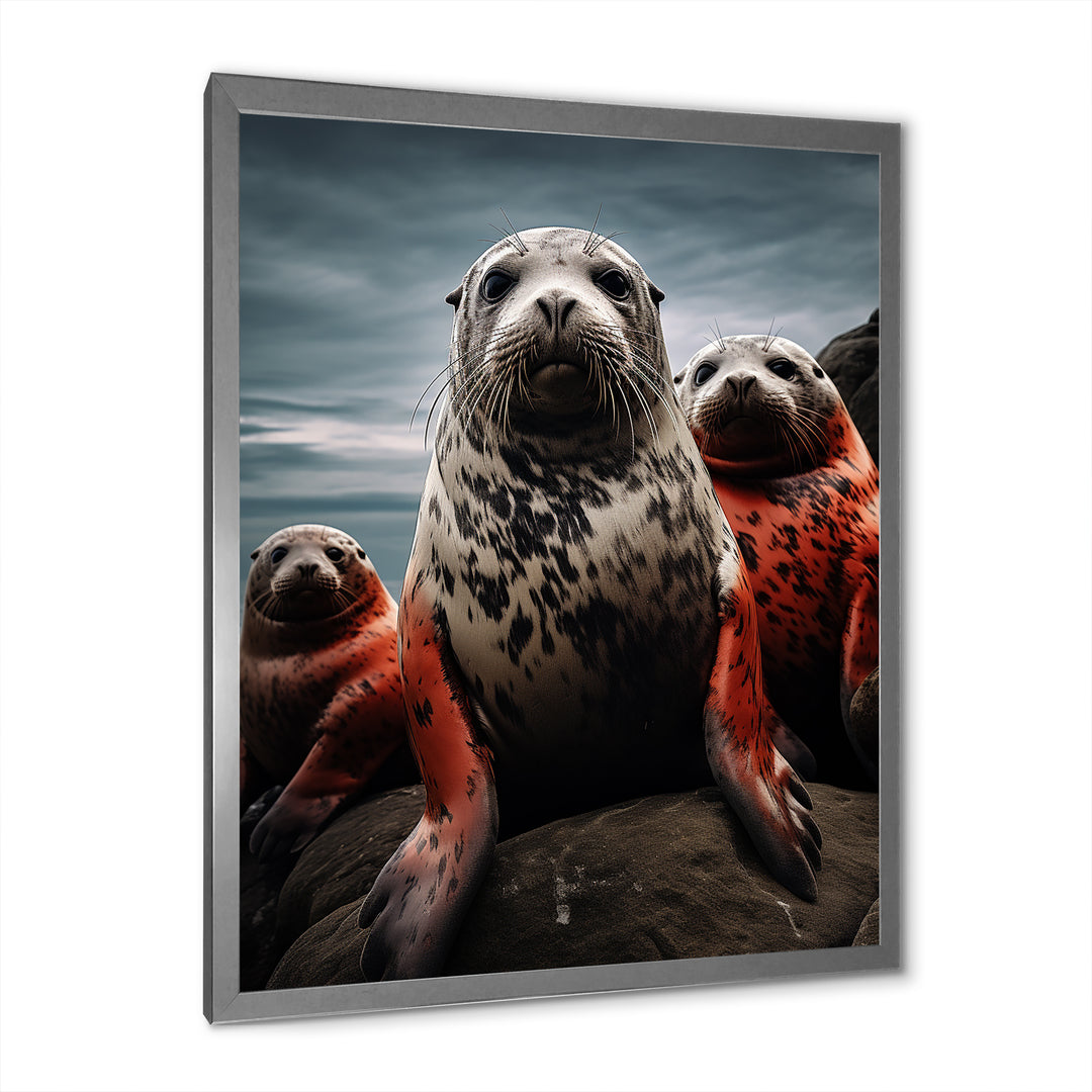 Grey Red Seal Silent Guardians - Marine Animals Large Canvas Wall Art