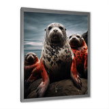 Grey Red Seal Silent Guardians - Marine Animals Large Canvas Wall Art
