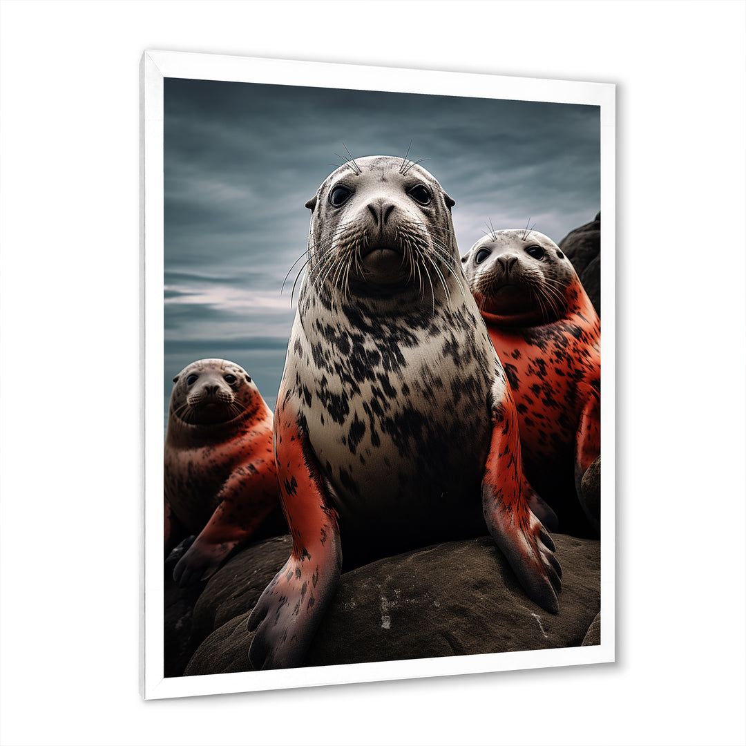 Grey Red Seal Silent Guardians - Marine Animals Large Canvas Wall Art