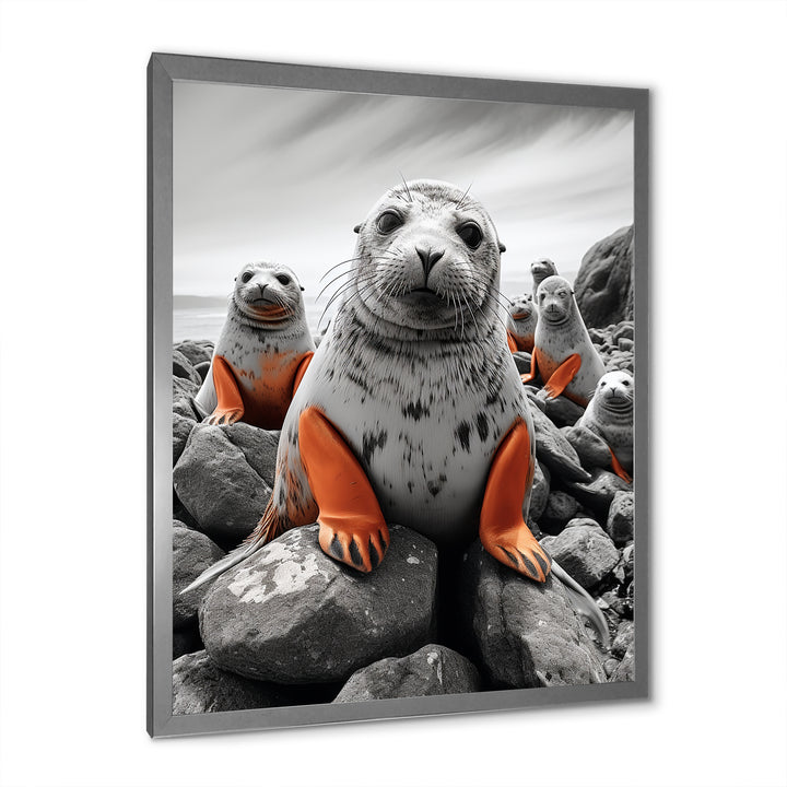 Grey Coral Seal Silent Guardians - Marine Animals Home Decor Art