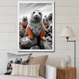 Grey Coral Seal Silent Guardians - Marine Animals Home Decor Art