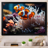 Orange Pink Clownfish Silent Underwater - Animals Canvas Wall Art