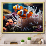 Orange Pink Clownfish Silent Underwater - Animals Canvas Wall Art