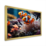 Orange Pink Clownfish Silent Underwater - Animals Canvas Wall Art