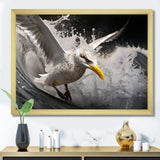 Grey Yellow Seagull Surfing On Waves - Marine Animals Wall Decor