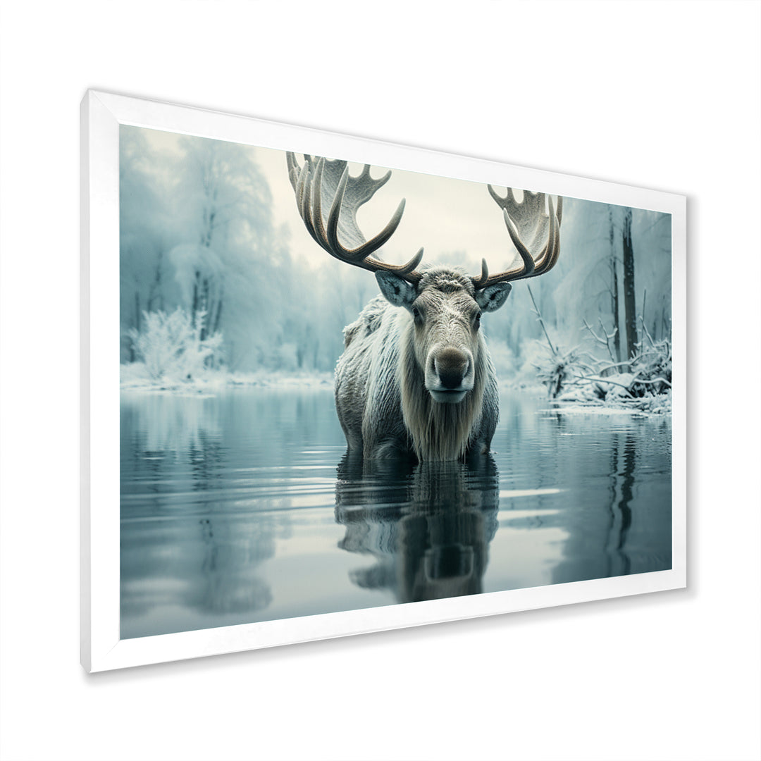 Blue Moose Arctic Reflection - Moose Canvas Wall Art