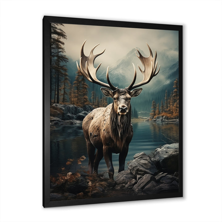 Grey Moose Coastal Wanderer - Moose Wall Art Prints