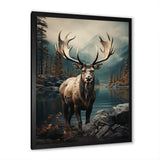 Grey Moose Coastal Wanderer - Moose Wall Art Prints