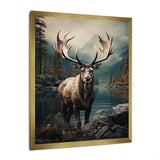 Grey Moose Coastal Wanderer - Moose Wall Art Prints