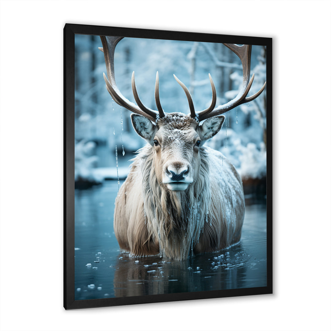 Moose Frozen Majesty - Moose Large Canvas Wall Art