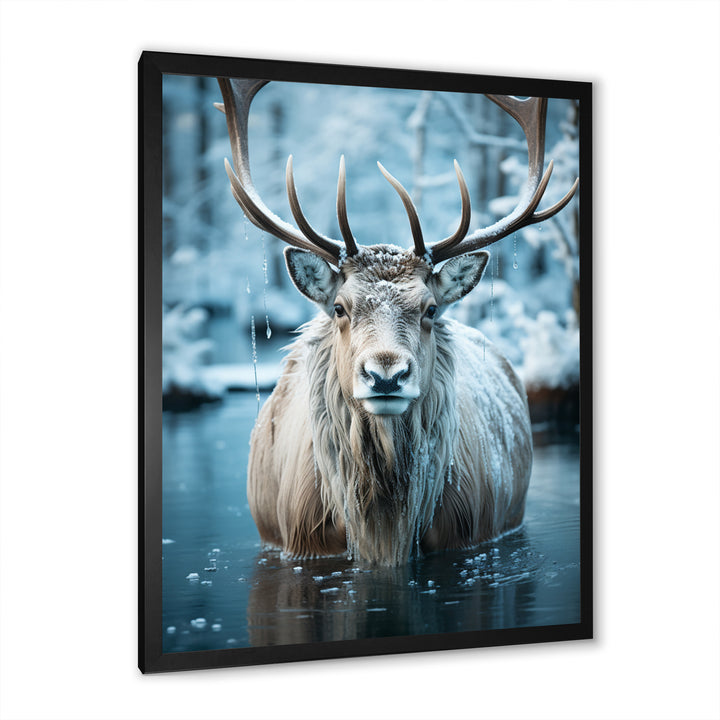 Moose Frozen Majesty - Moose Large Canvas Wall Art