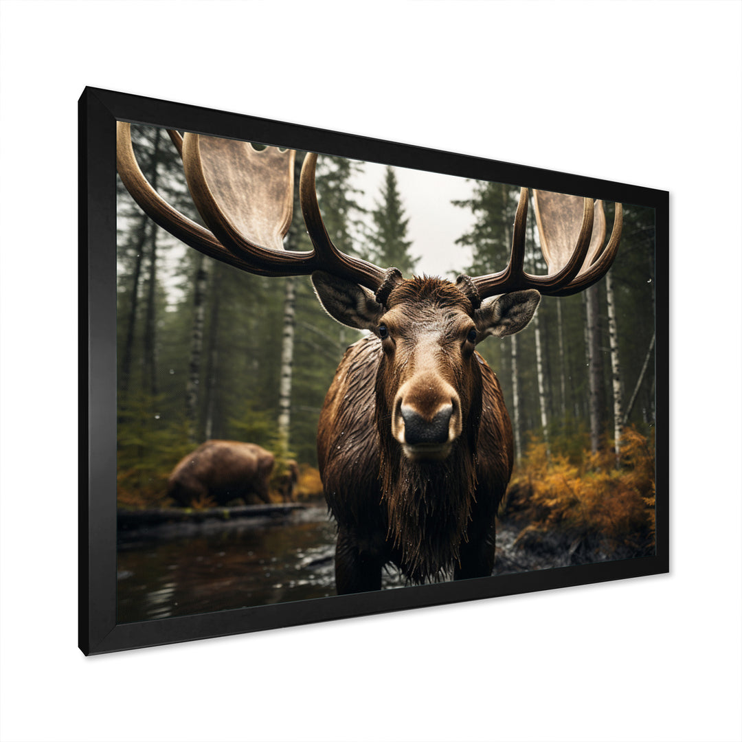 Brown Yellow Moose Majestic - Moose Home Decor Art