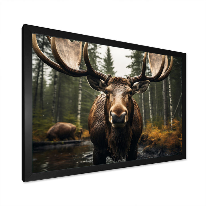 Brown Yellow Moose Majestic - Moose Home Decor Art