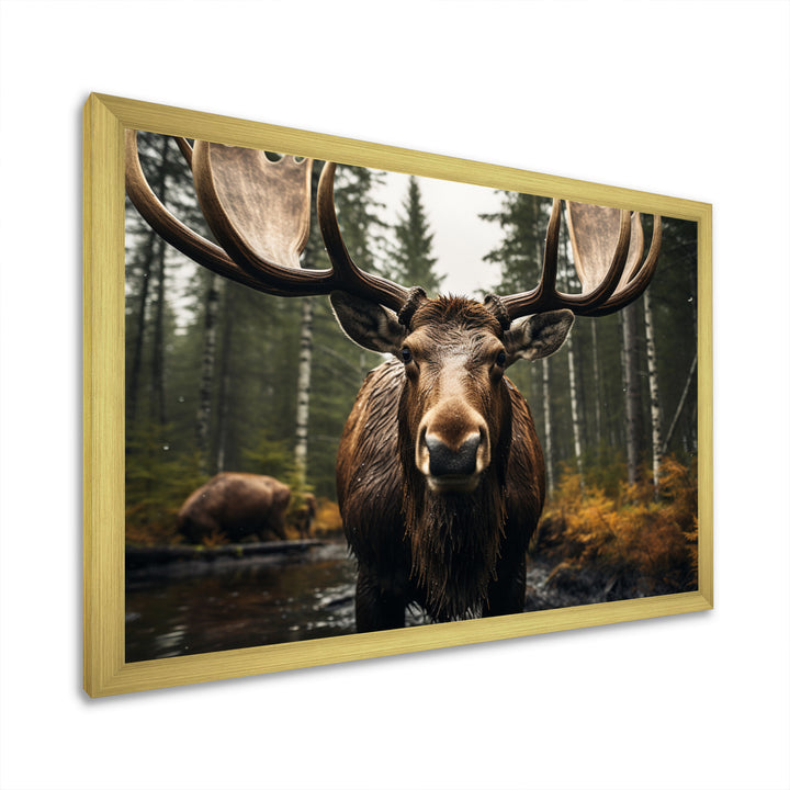 Brown Yellow Moose Majestic - Moose Home Decor Art