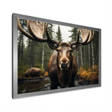 Brown Yellow Moose Majestic - Moose Home Decor Art