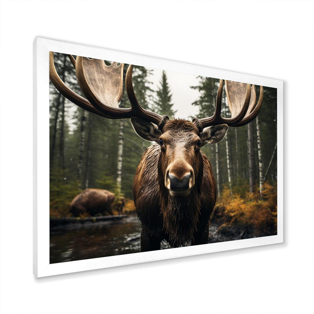Brown Yellow Moose Majestic - Moose Home Decor Art