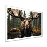 Brown Yellow Moose Majestic - Moose Home Decor Art