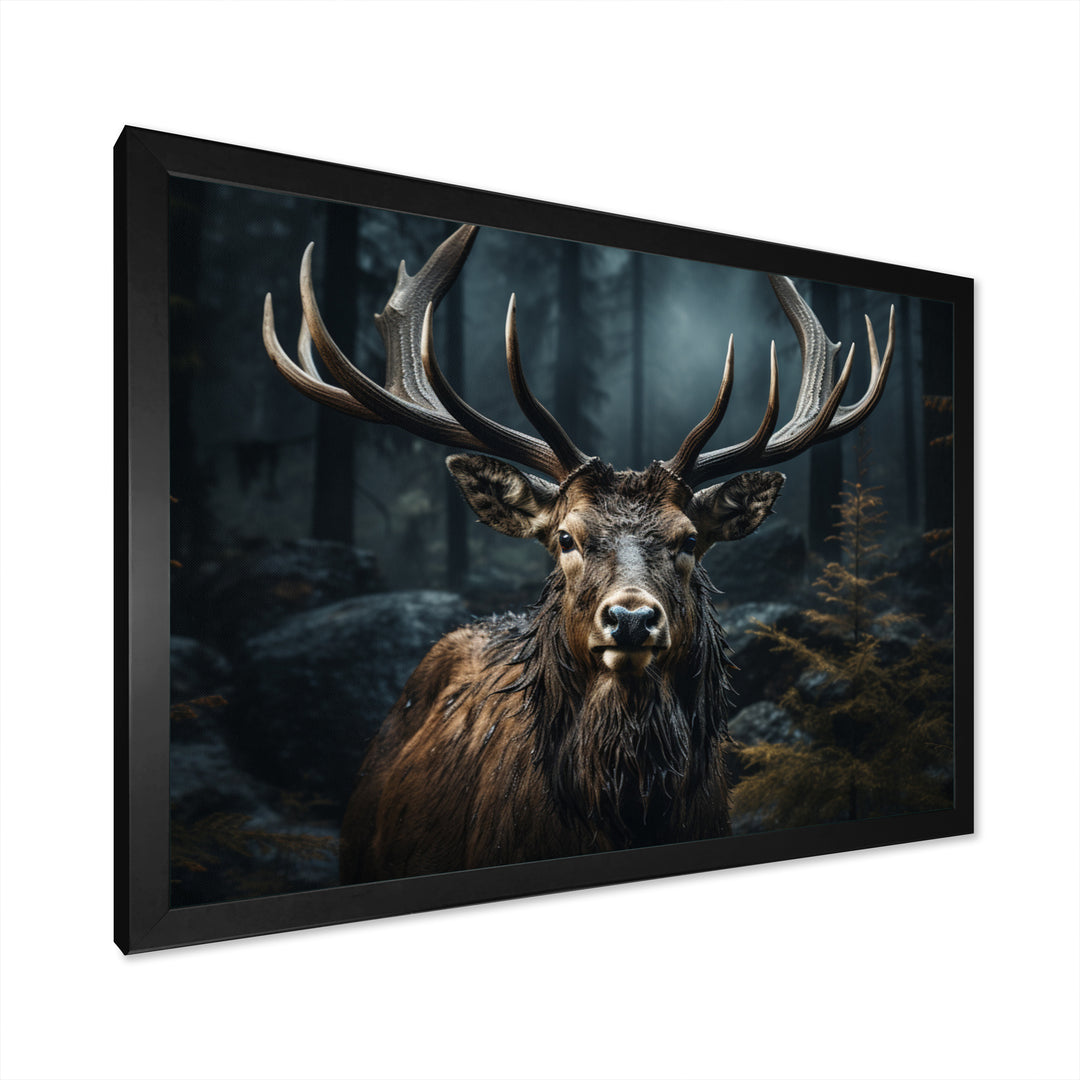 Black White Moose Portrait - Black Moose Wall Art