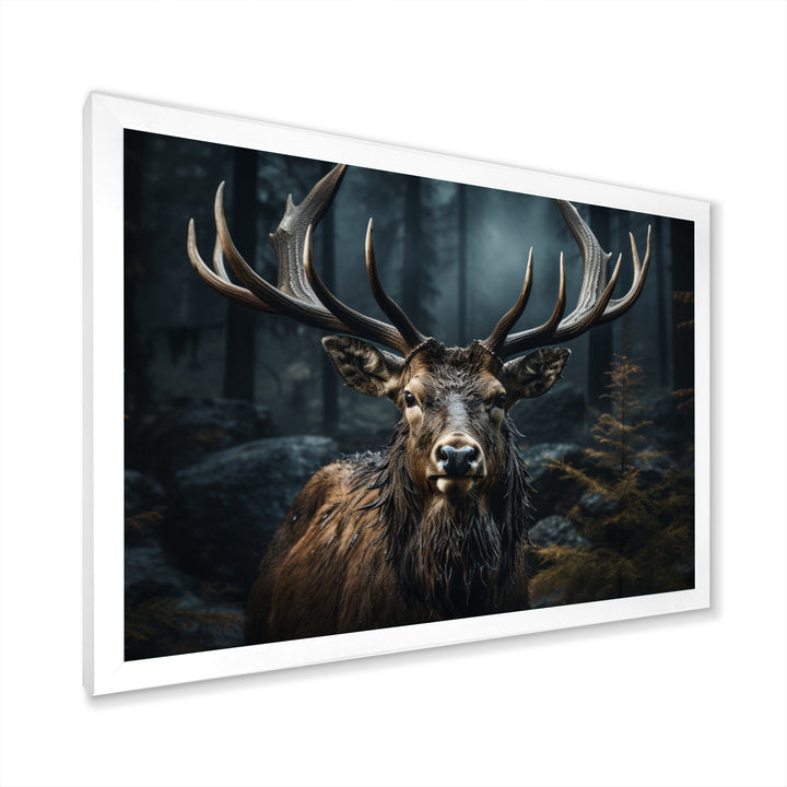Black White Moose Portrait - Black Moose Wall Art