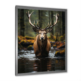 Brown Green Moose Portrait Vibrant - Moose Framed Canvas Art