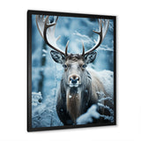 Blue White Moose Winter Frost - Moose Wall Decor