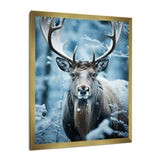 Blue White Moose Winter Frost - Moose Wall Decor