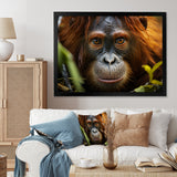 Orangutan Photo Portrait - Orangutan Living Room Wall Art
