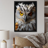 Grey Owl Animal Monochrome National - Owl Wall Decor