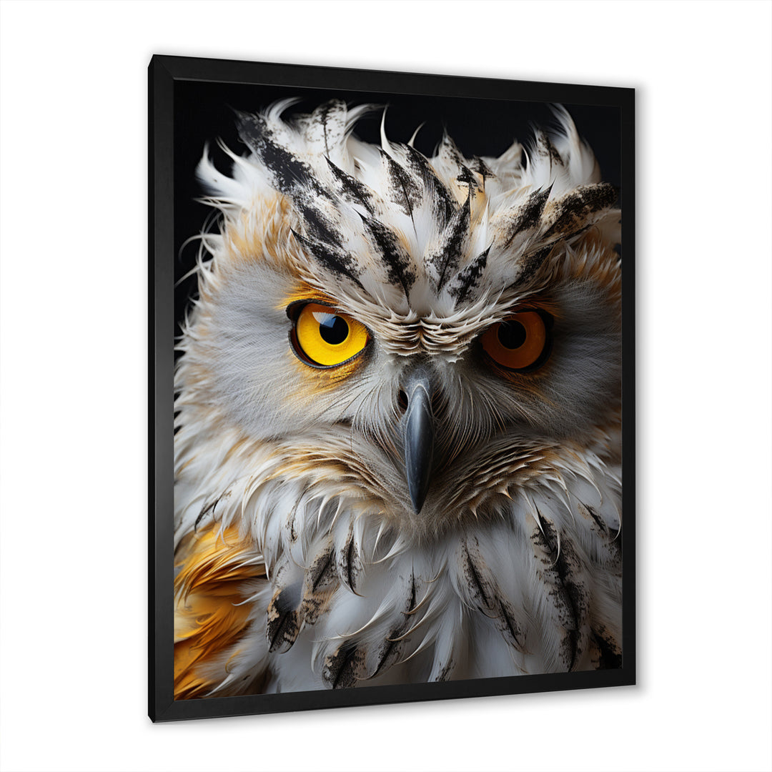 Grey Owl Animal Monochrome National - Owl Wall Decor