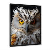 Grey Owl Animal Monochrome National - Owl Wall Decor