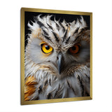 Grey Owl Animal Monochrome National - Owl Wall Decor