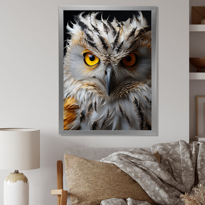 Grey Owl Animal Monochrome National - Owl Wall Decor