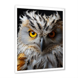 Grey Owl Animal Monochrome National - Owl Wall Decor