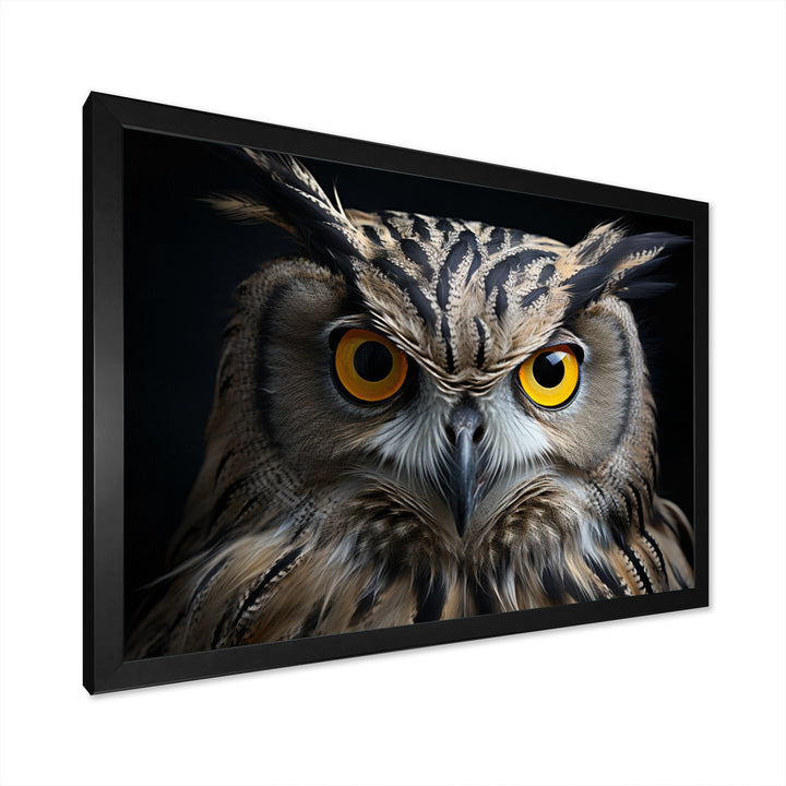 Black White Owl Portrait - Owl Living Room Wall Art