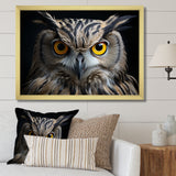 Black White Owl Portrait - Owl Living Room Wall Art