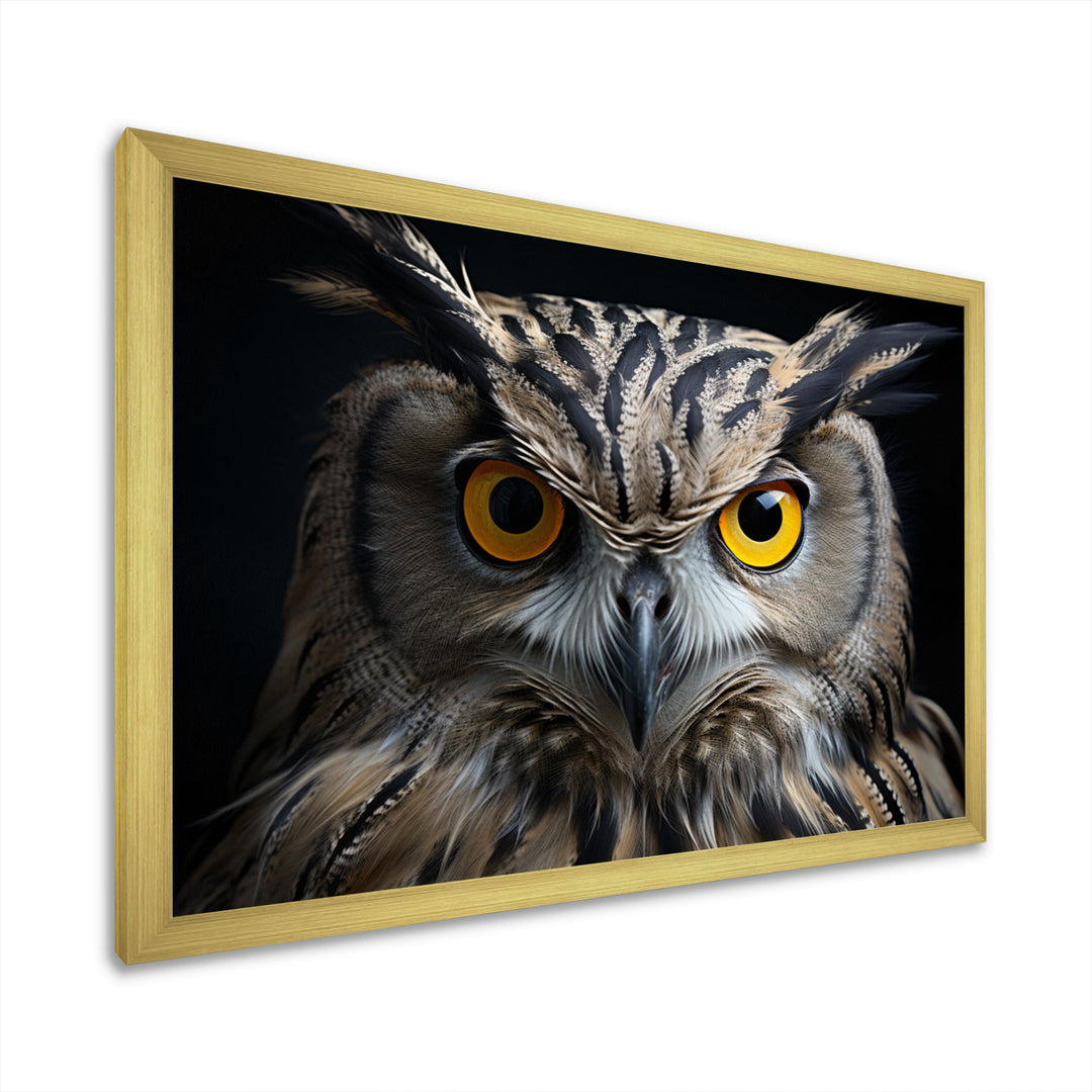 Black White Owl Portrait - Owl Living Room Wall Art