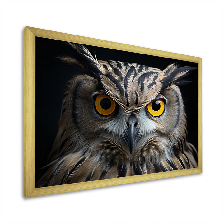 Black White Owl Portrait - Owl Living Room Wall Art