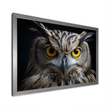 Black White Owl Portrait - Owl Living Room Wall Art