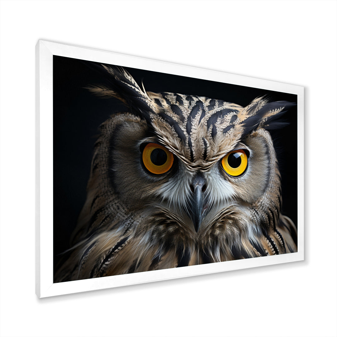Black White Owl Portrait - Owl Living Room Wall Art